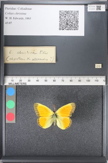 Media type: image;   Entomology 123974